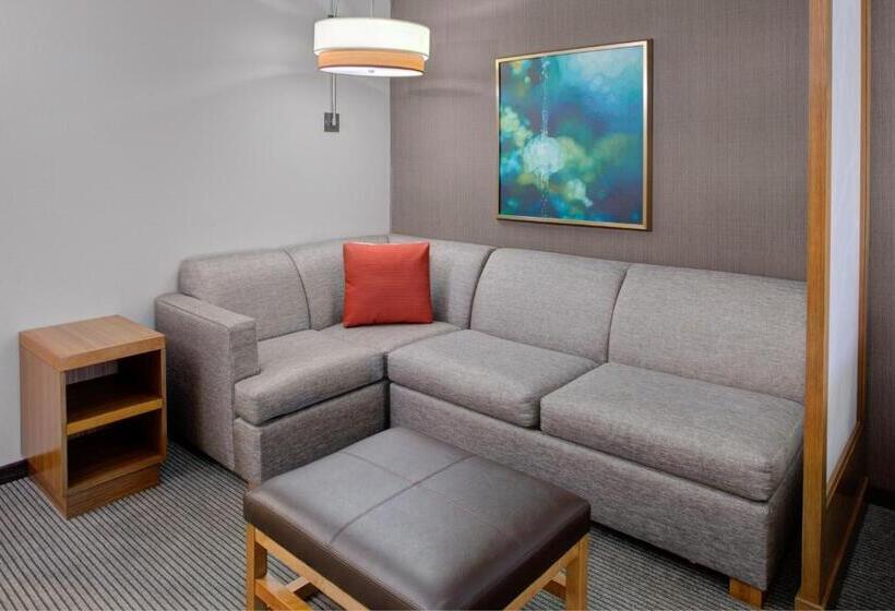 Номер Стандарт 2 Двуспальные Кровати, Hyatt Place Dallas/the Colony