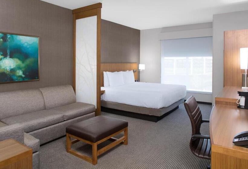 Номер Стандарт Адаптированный для Инвалидов, Hyatt Place Dallas/the Colony