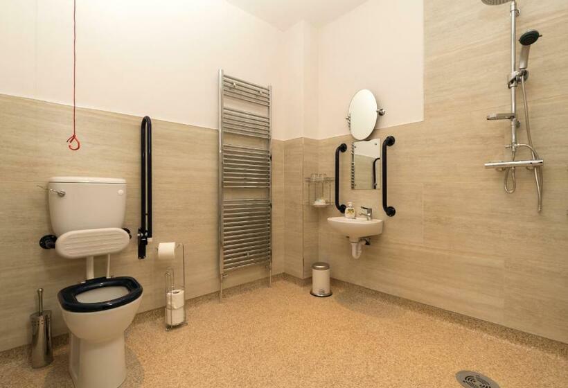 Номер Стандарт Кровать Кинг Адаптированный для Инвалидов, Mill Lodge B&b