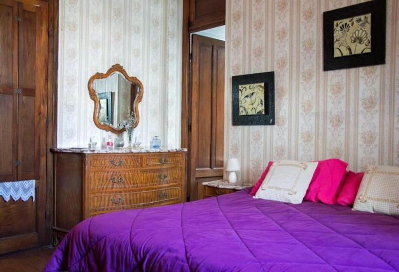 اتاق استاندارد چهارنفره با چشم‌انداز باغ, Cane B&b
