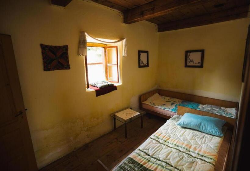 اتاق استاندارد, Household šain