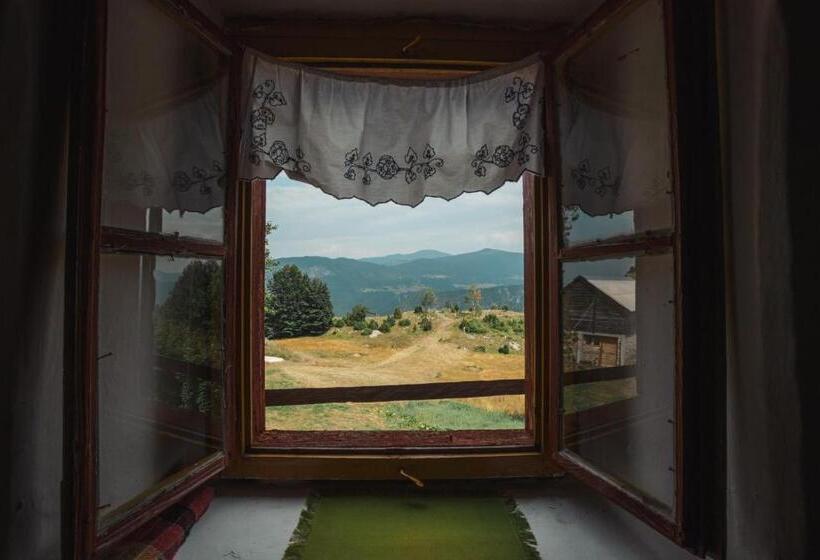 اتاق استاندارد سه نفره, Household šain