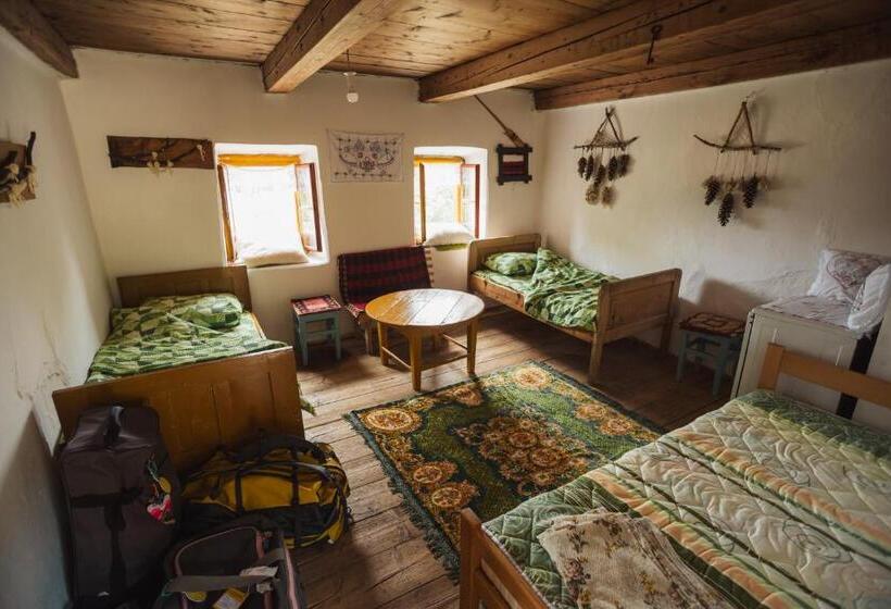 اتاق استاندارد سه نفره, Household šain