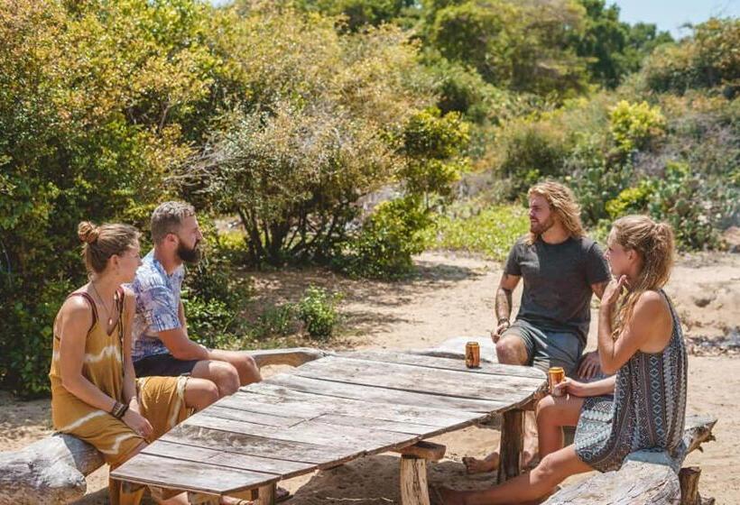 Семейный Номер Вид на Море, Jungle Surf Camp