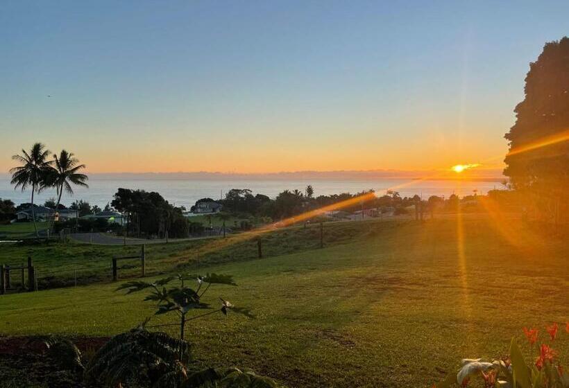 اتاق استاندارد, Magic Skies B&b