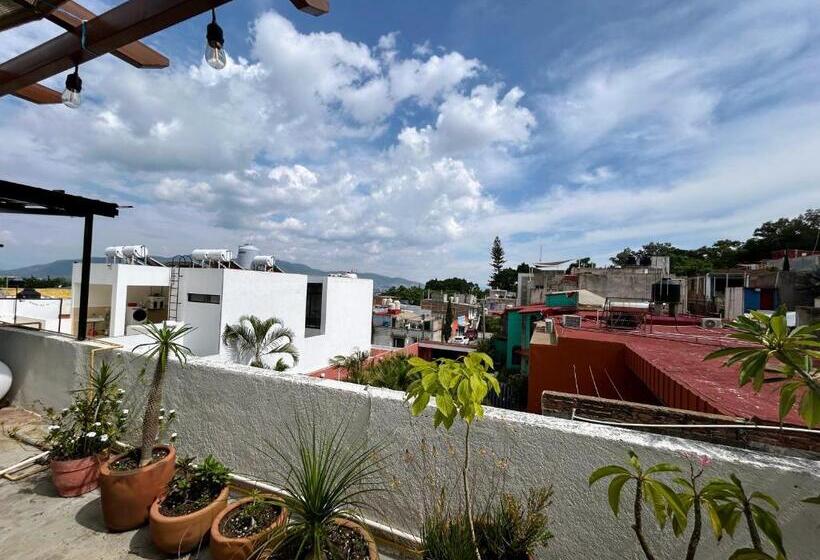 اتاق استاندارد, Luz Casa De Huespedes