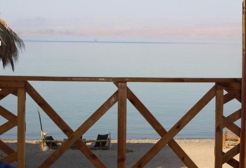 اتاق لوکس با چشم‌انداز دریا, The Bedouin Life With Eid Ali
