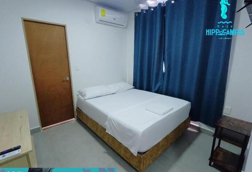 标准间, Sukha Hippocampus San Andrés Isla