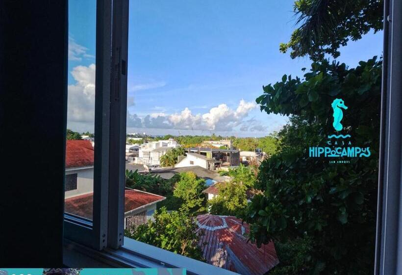家庭间, Sukha Hippocampus San Andrés Isla