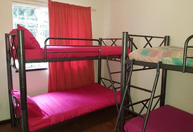 Кровать в Общей Комнате, Travel Lodge Sabie