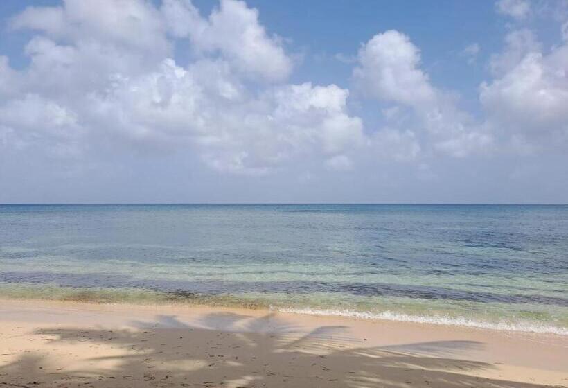 استودیو استاندارد با چشم‌انداز باغ, Titi Happy Days
