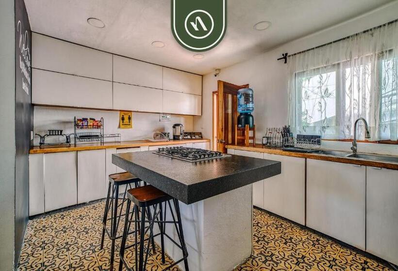 سرير فى غرفة مشتركه, 2 Double Beds   Dormitory Room In Nuevo Vallarta
