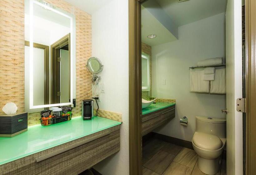 Номер Стандарт с Балконом, Regalia Hotel & Conference Center