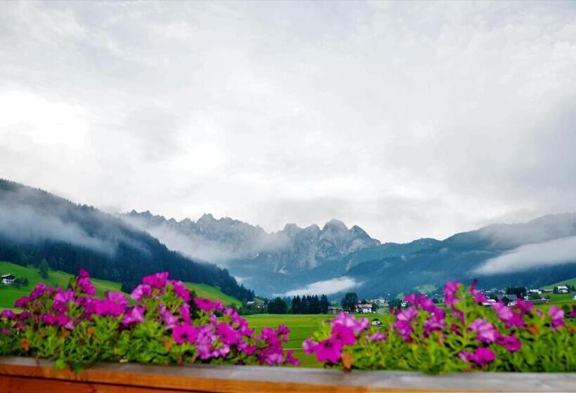 Номер Стандарт Вид на Горы, Cooee Alpin Hotel Dachstein