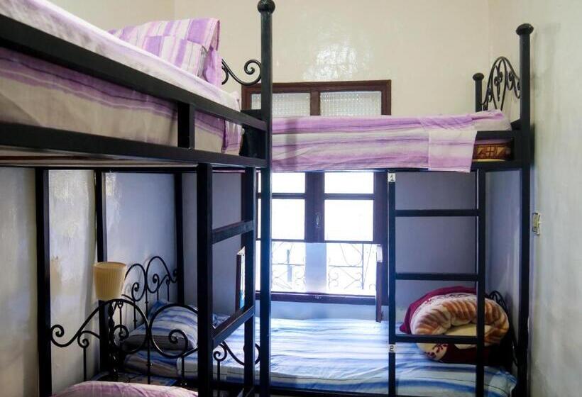 共用房间的床, Hostel Aline