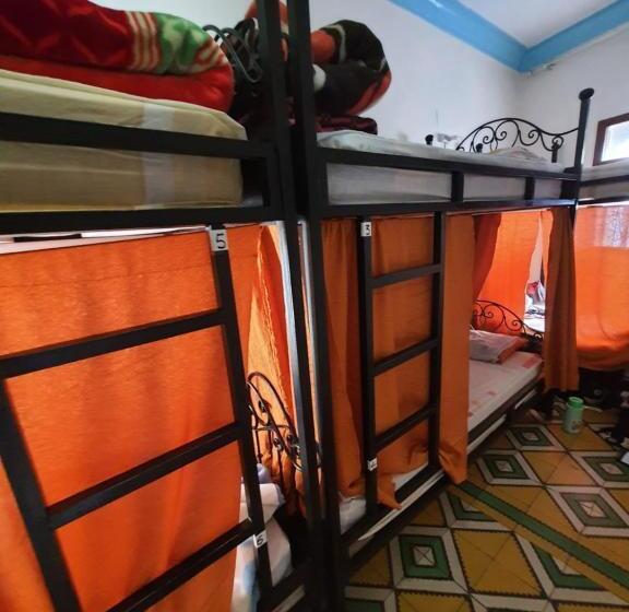 共用房间的床, Hostel Aline