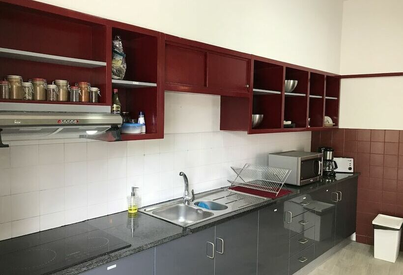 מיטה בחדר משותף, Urban Garden Porto Central Hostel