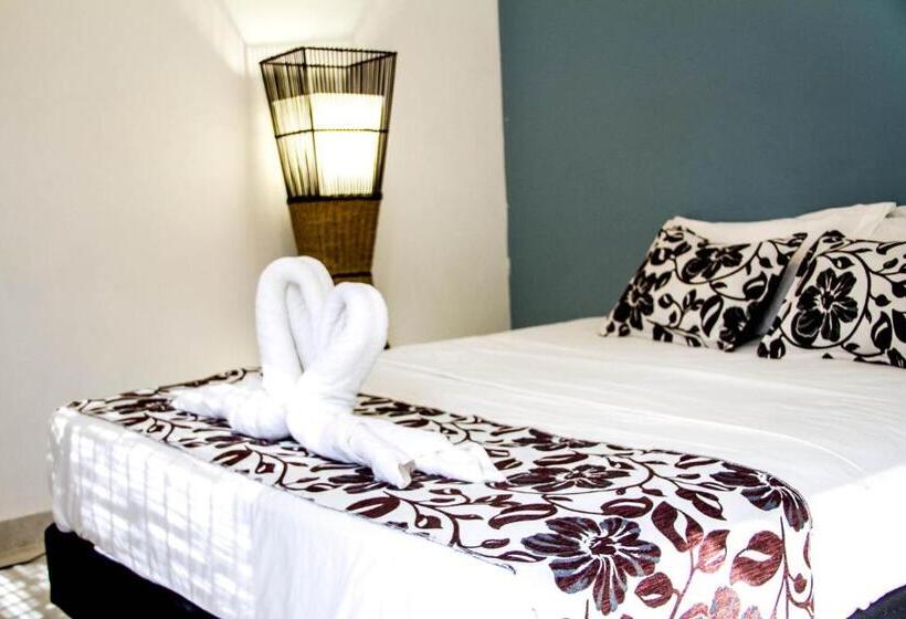 اتاق استاندارد, Casa Colibri Palomino