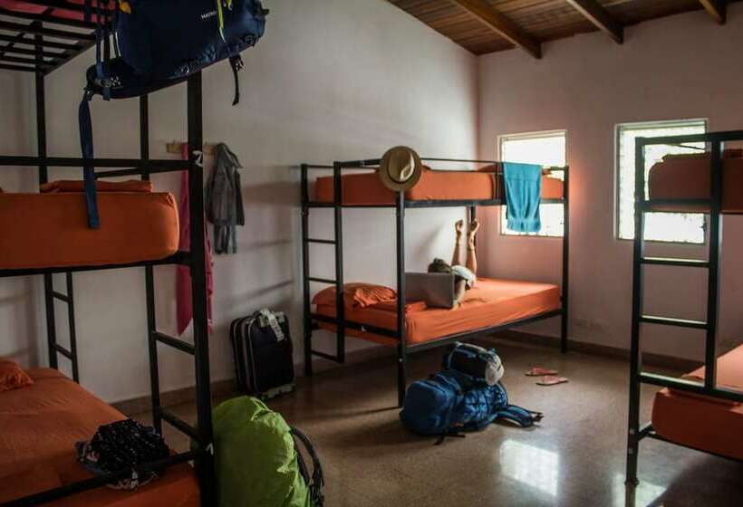 Кровать в Общей Комнате, Zebulo Hostel