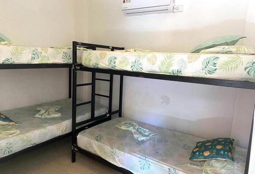 Трехместный Номер Базовый, Zebulo Hostel