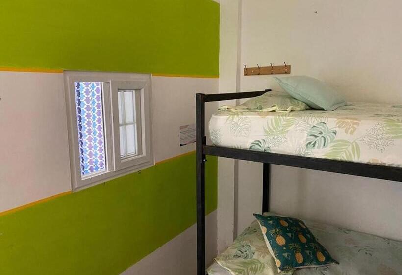اتاق اکونومی, Zebulo Hostel