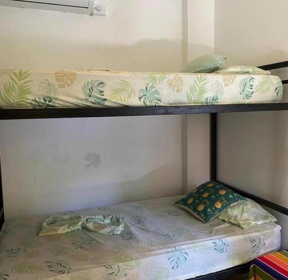 Номер Economy, Zebulo Hostel