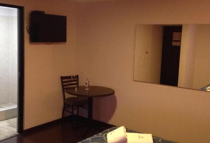 Standart Oda, Boutique Toluca