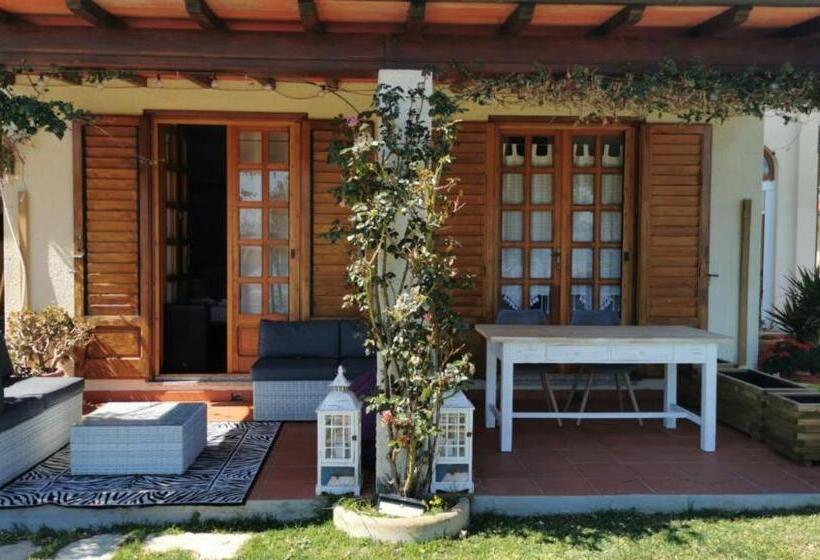 سوئیت با تخت بزرگ, Aethalia Bed And Breakfast