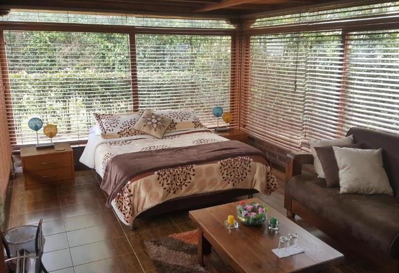 Номер Deluxe, Casa Hotel San Pedro