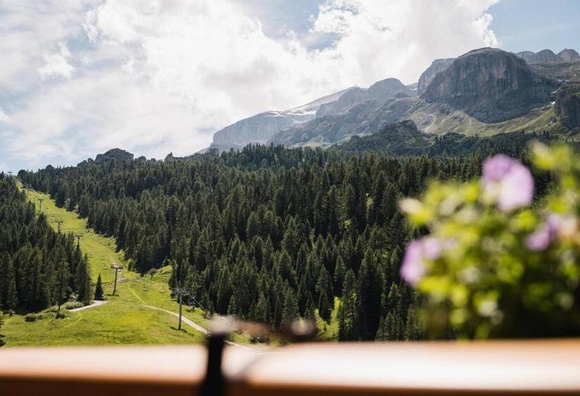 Номер Стандарт Вид на Горы, Laguscei Dolomites Mountain