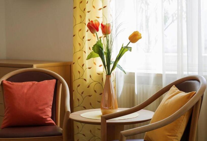 マウンテンビュースタンダードルーム, Römerrast