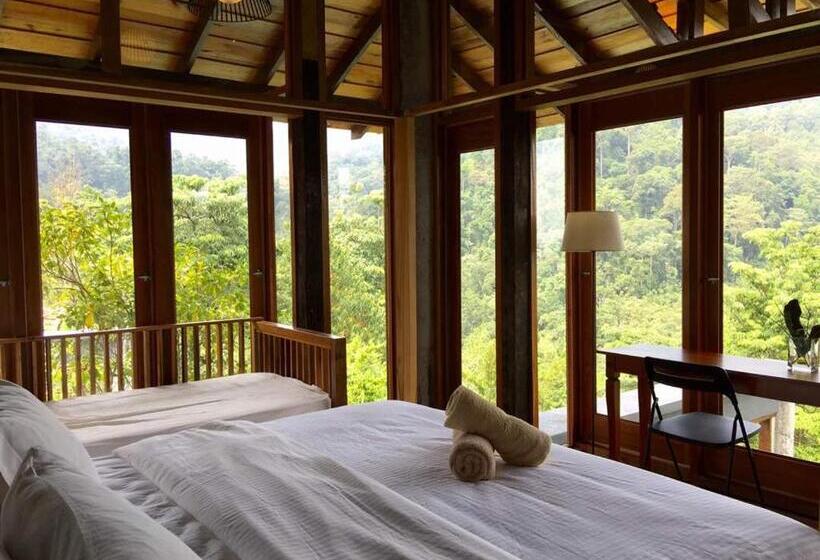 Люкс Дюплекс, The Shorea