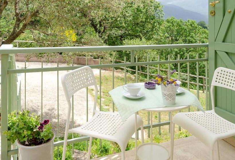 شقة غرفة واحدة مطلة على البحر, Driùs Edodè   B&b Affittacamere