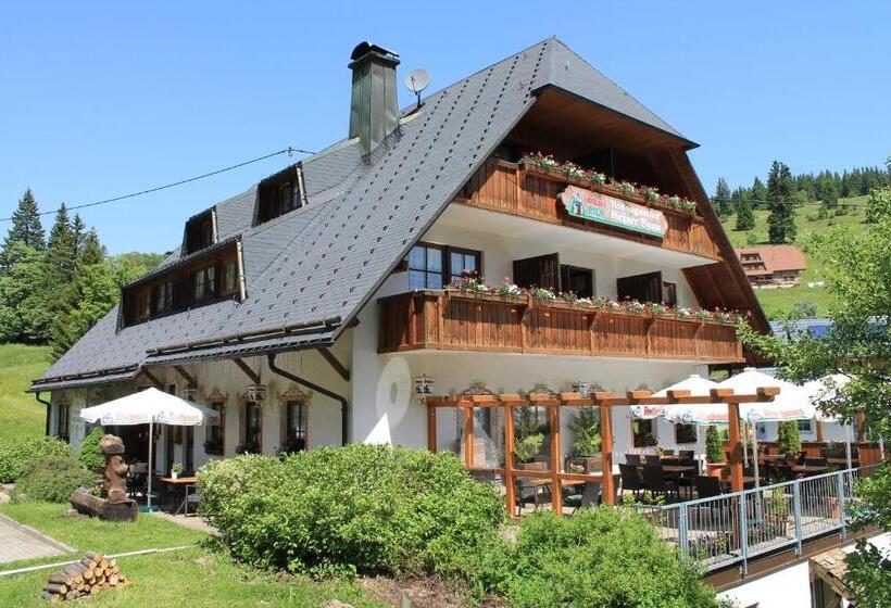 Студио Стандарт с Видом, & Restaurant Grüner Baum   Die Grüne Oase Am Feldberg