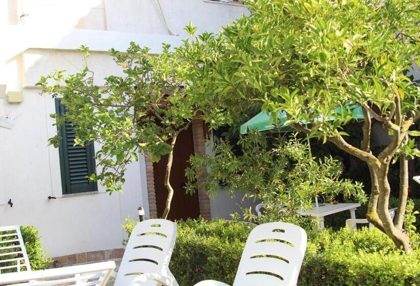Четырехместный Номер Классик, B&b Country House Il Grappolo