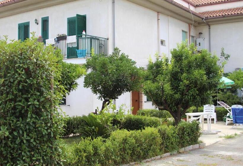 Номер Стандарт, B&b Country House Il Grappolo