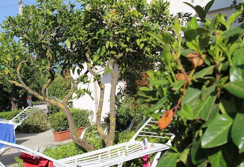Номер Стандарт, B&b Country House Il Grappolo