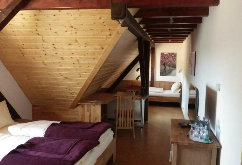 Номер Superior, Landhotel Garni Knittelsheimer Mühle