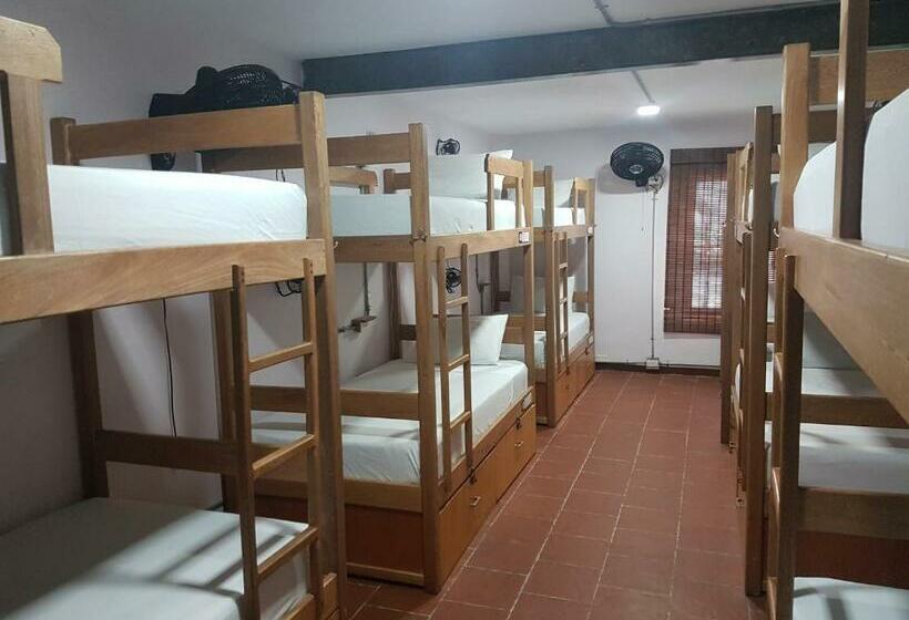 공동 객실, Purple Monkey Hostel