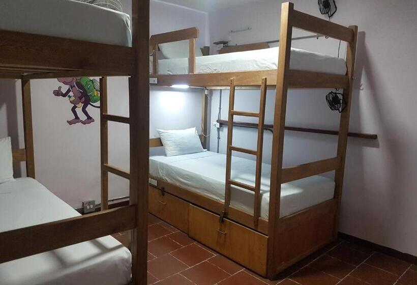 공동 객실, Purple Monkey Hostel