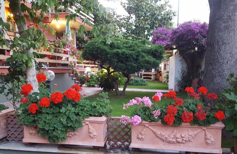 Полулюкс, B&b Domus Gratiae
