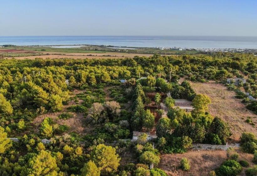 Четырехместный Номер Стандарт, Allu Ruvezzu