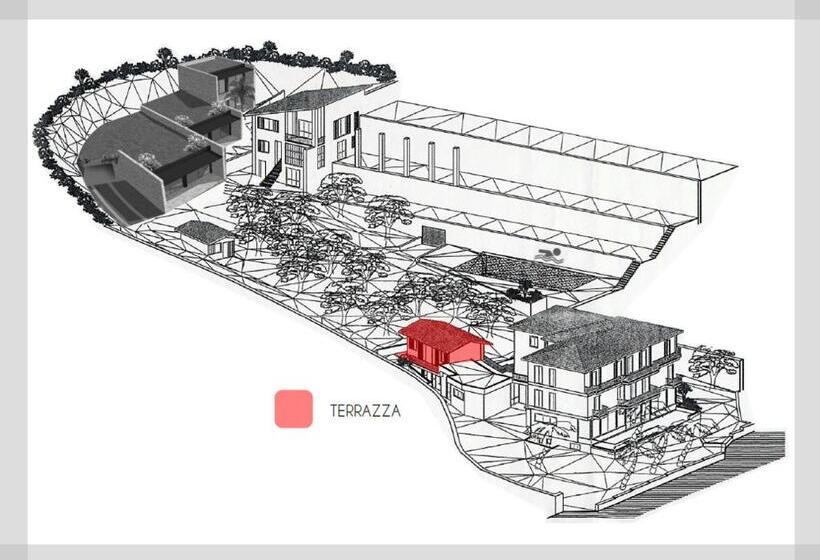 Номер Стандарт с Террасой, Livia