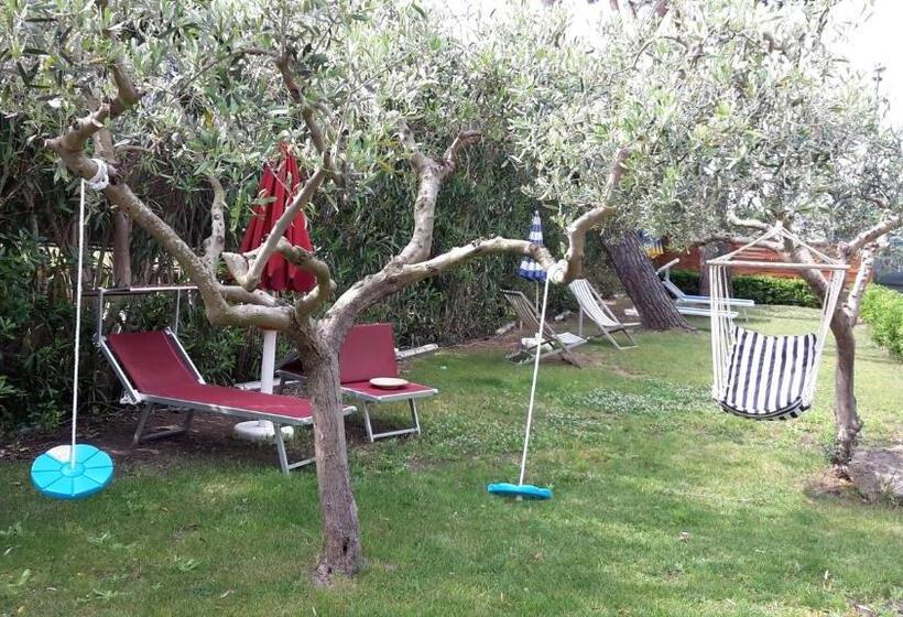 Номер Стандарт, Rifa B&b
