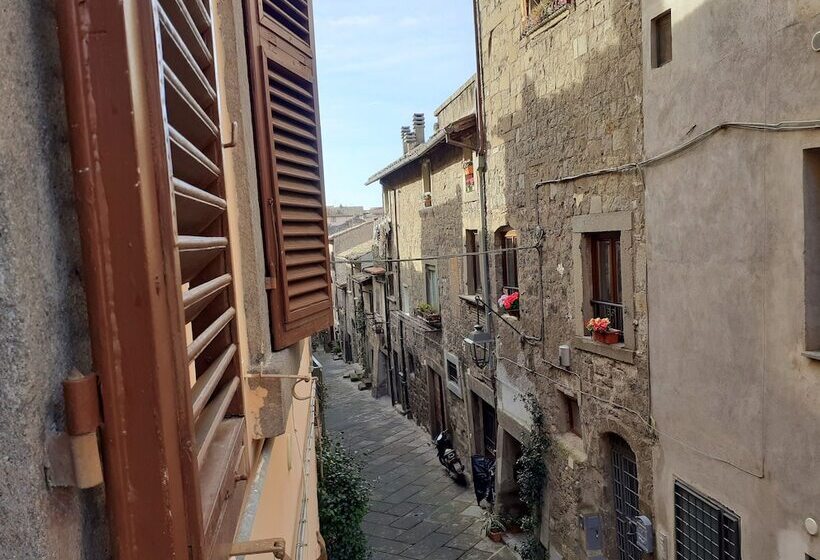 آپارتمان سوپریور 1 خوابه, Viterbo Antica   Centro Storico