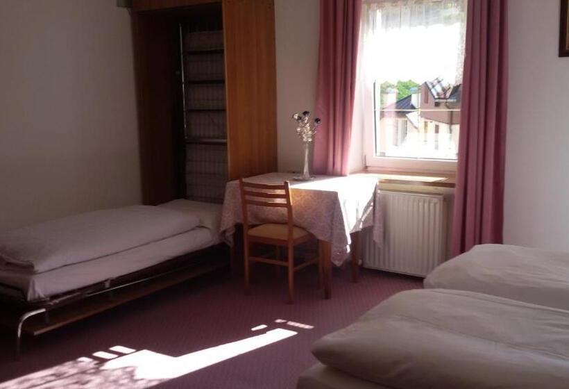 اتاق استاندارد سه نفره, Albergo Alpino