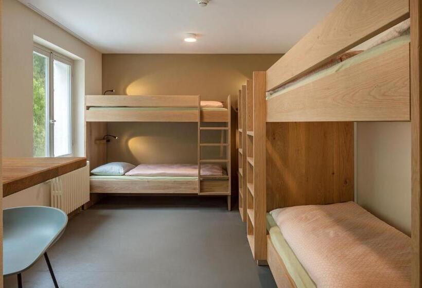 اتاق استاندارد با سرویس بهداشتی مشترک, Cransmontana Youth Hostel