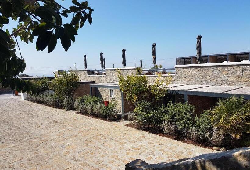 Номер Стандарт, My Mykonos