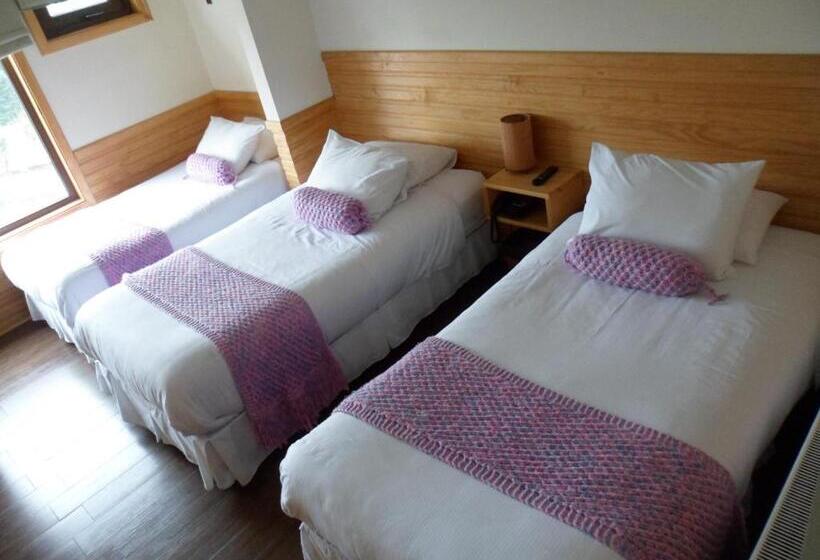 Номер Стандарт Трехместный, Dein Haus Hotel Y Departamentos