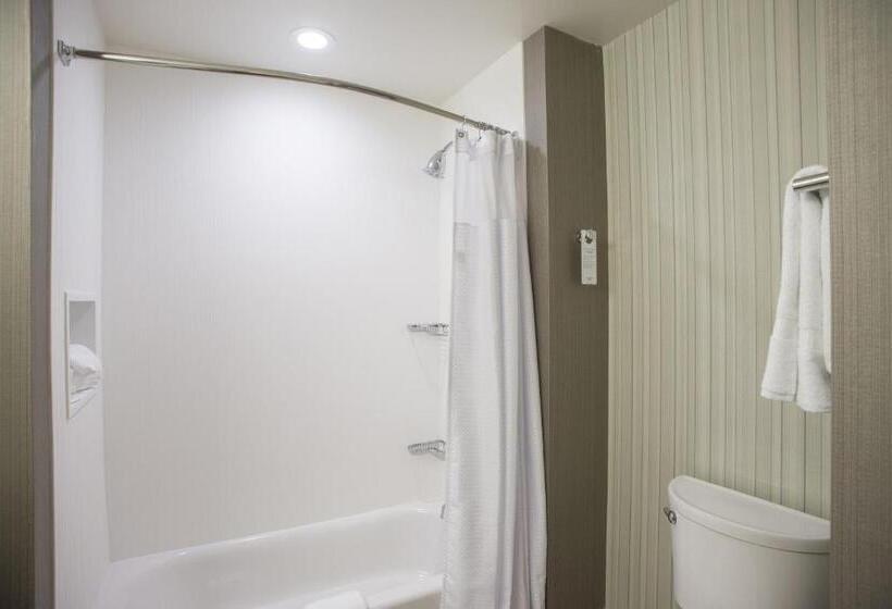 Стандартный Номер Кровать Кинг, Courtyard By Marriott Albany Clifton Park